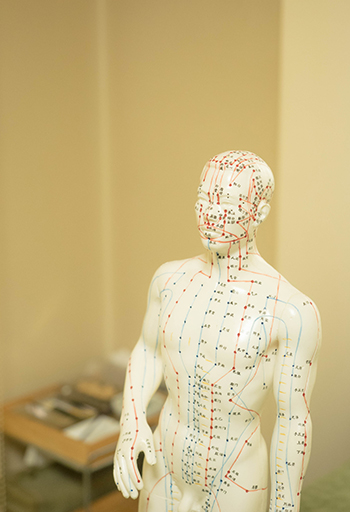 経穴人形(C)表参道・青山・原宿・渋谷エリアにある源保堂鍼灸院Tokyo Japan Acupuncture