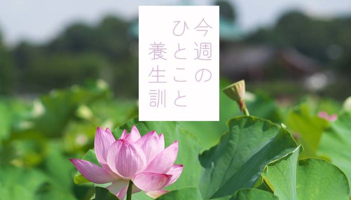 今週のひとこと養生訓（C)表参道･青山･原宿･渋谷エリアにある源保堂鍼灸院Tokyo Japan Acupuncture Clinic