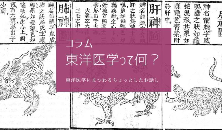 コラム東洋医学ってなに？（C)肩こり・腰痛・寝違い・頭痛・生理痛など源保堂鍼灸院Tokyo Japan Acupuncture Clinic