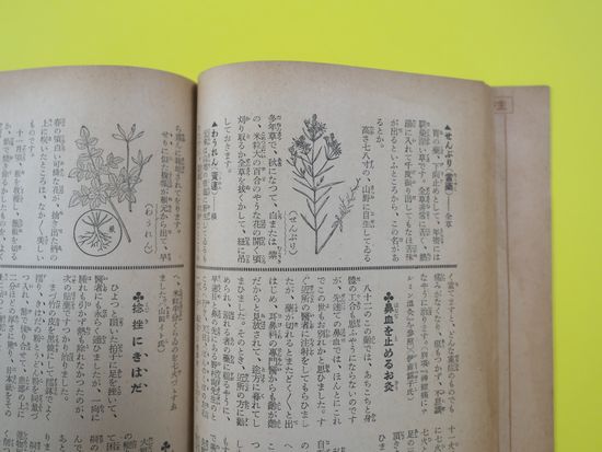 『難病を治したお灸と薬草療法三百八十種』(C)表参道・青山・原宿・渋谷エリアにある、漢方相談もできる源保堂鍼灸院
