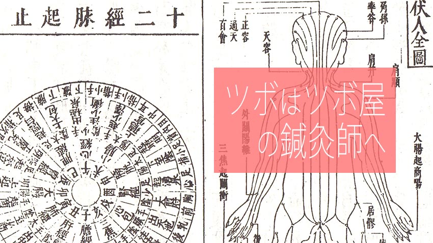 ツボのお話し 東洋医学（C)表参道・青山・原宿・渋谷エリアにある、漢方相談もできる源保堂鍼灸院 Japanese acupuncture