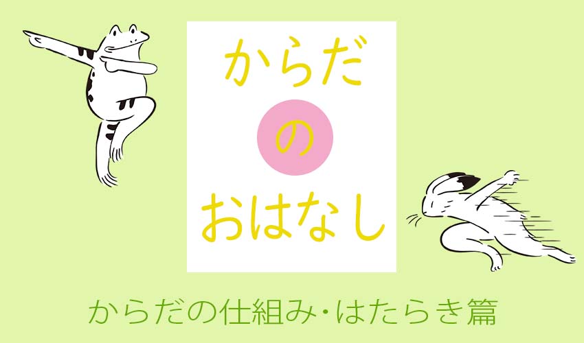 からだのはなし　仕組み・はたらき篇　（C)肩こり・腰痛・寝違い・頭痛・生理痛など源保堂鍼灸院Tokyo Japan Acupuncture Clinic