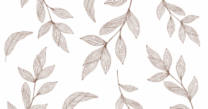 申し訳ございません・・・